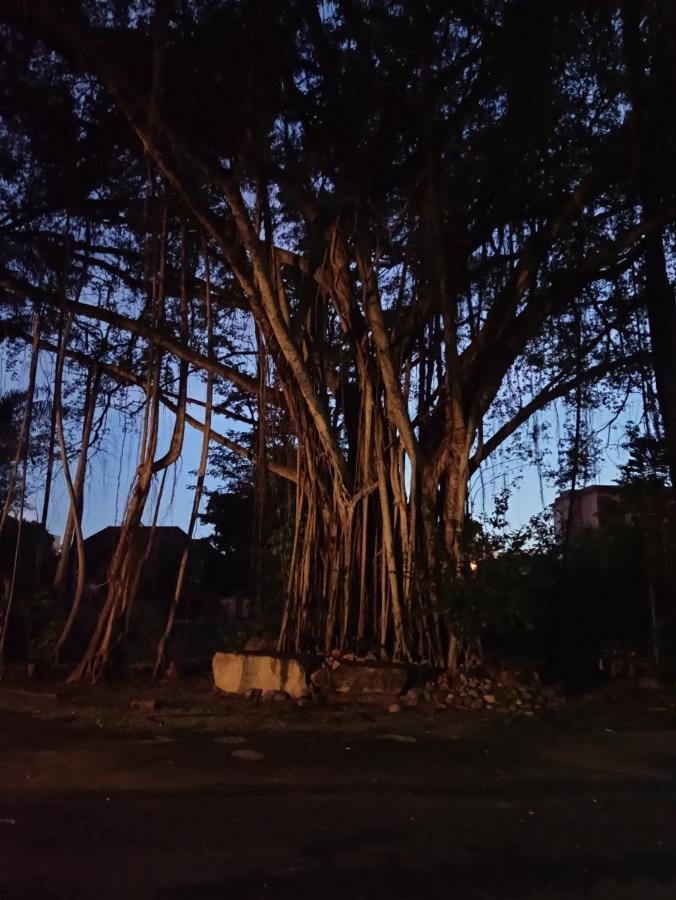 Ban Nam Mao Resort نا جومتين المظهر الخارجي الصورة